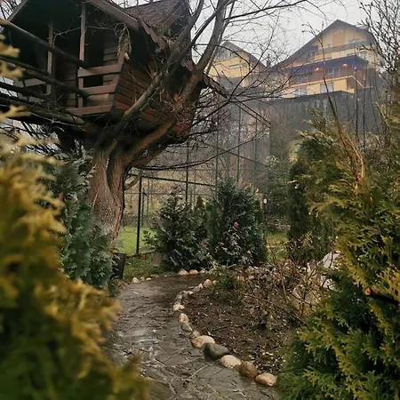 Homestay Doftana