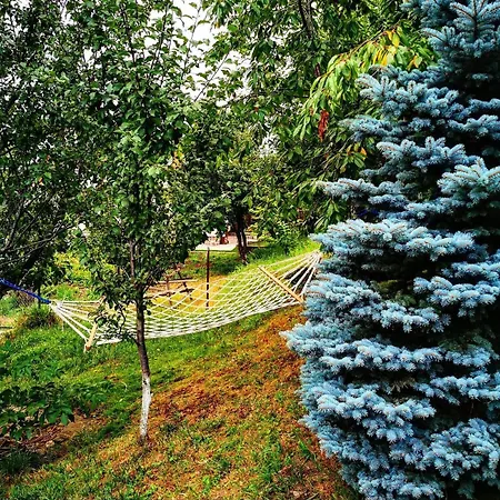 Doftana