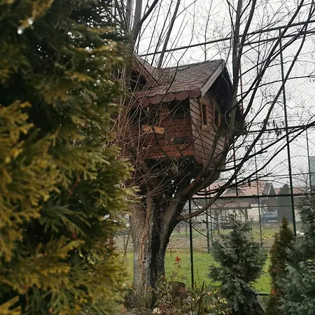 Homestay Doftana *